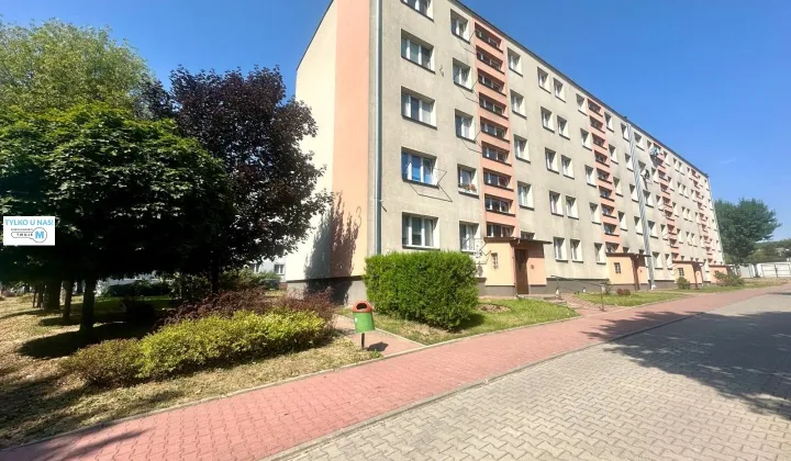 Mieszkanie 2-pokojowe Sitkówka