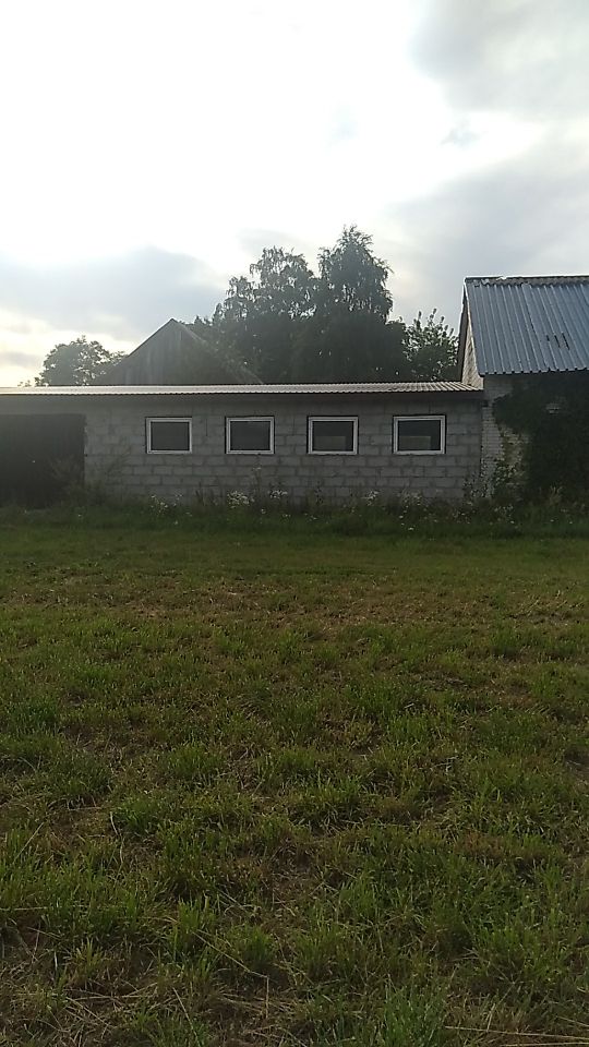 Hala/magazyn Rzechta Drużbińska. Zdjęcie 2