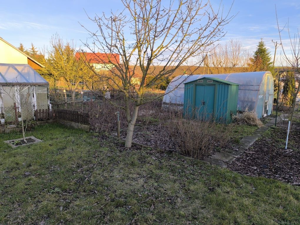 Działka rod Pełczyce, ul. Łąkowa. Zdjęcie 4