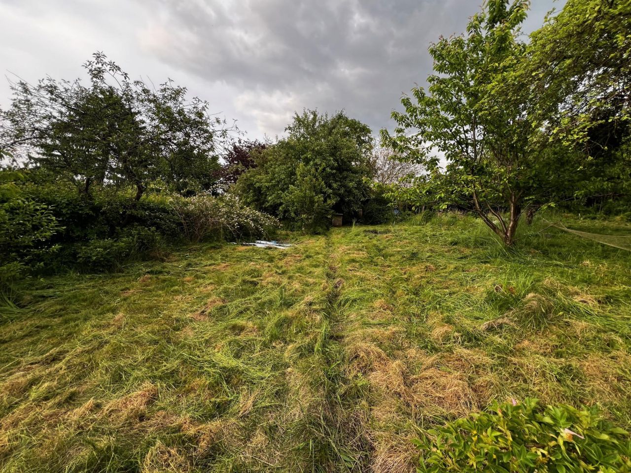 Działka rod Elbląg, ul. Działkowa. Zdjęcie 11