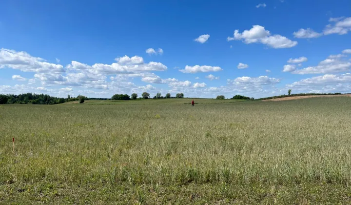 Działka budowlana Bachotek