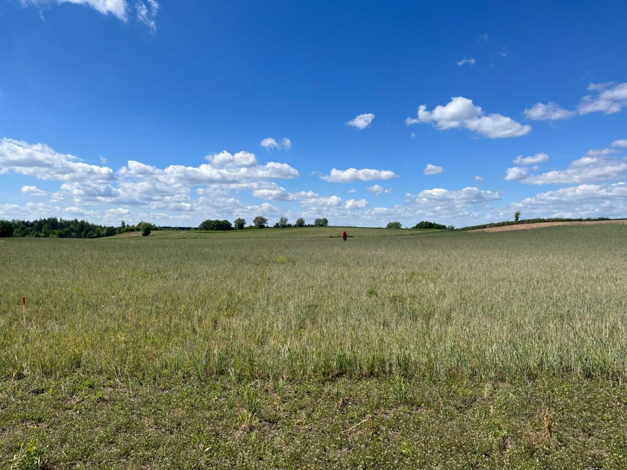 Działka budowlana Bachotek