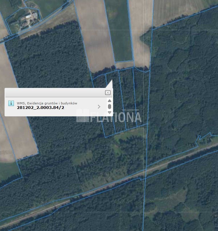 Działka leśna Czachówki. Zdjęcie 4