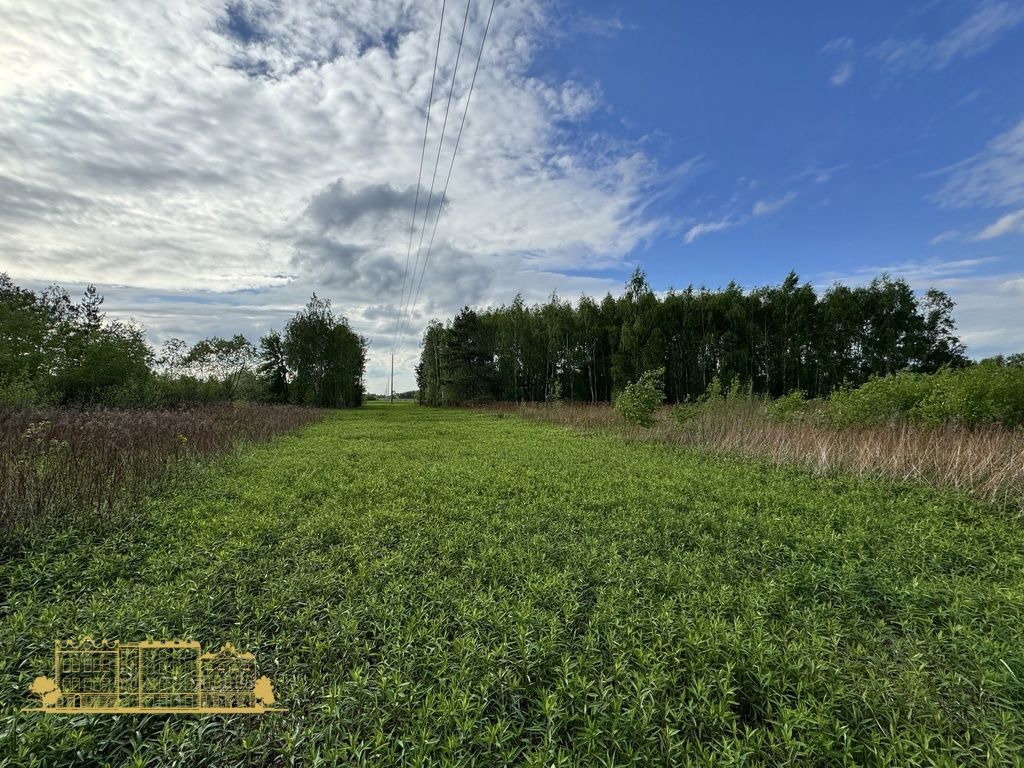 Działka budowlana Podleszany. Zdjęcie 2