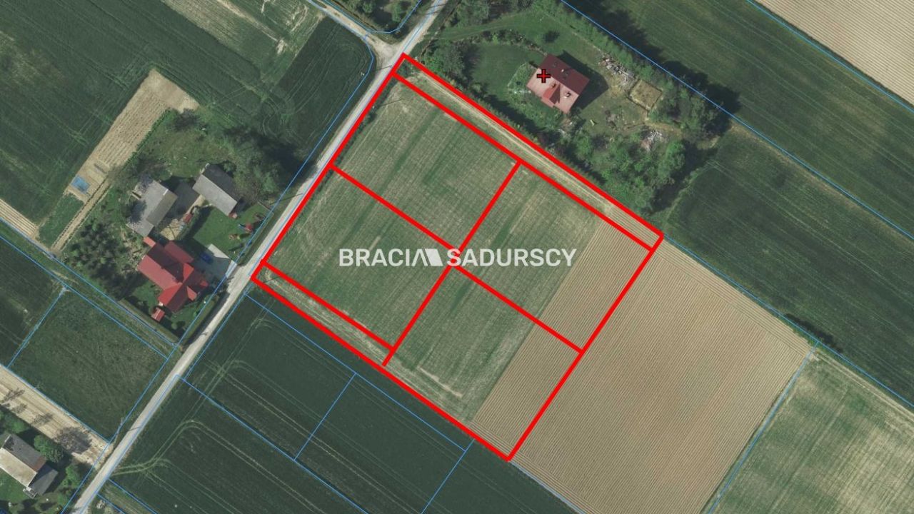 Działka budowlana Sieciechowice. Zdjęcie 11