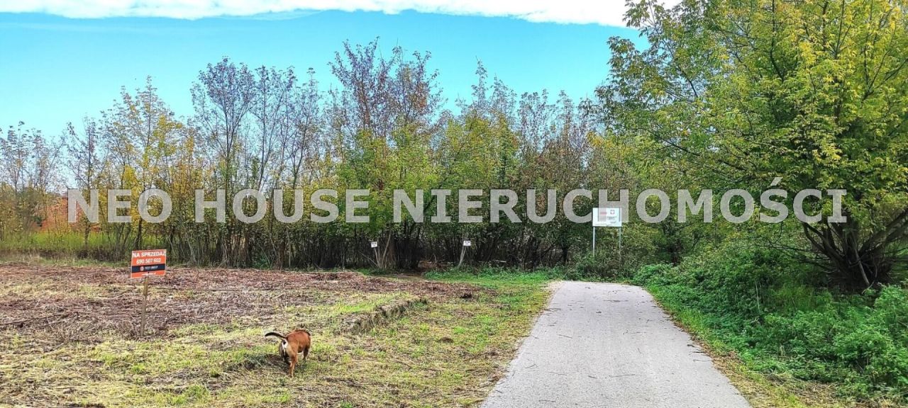 Działka budowlana Suchocin, ul. Rybacka. Zdjęcie 26