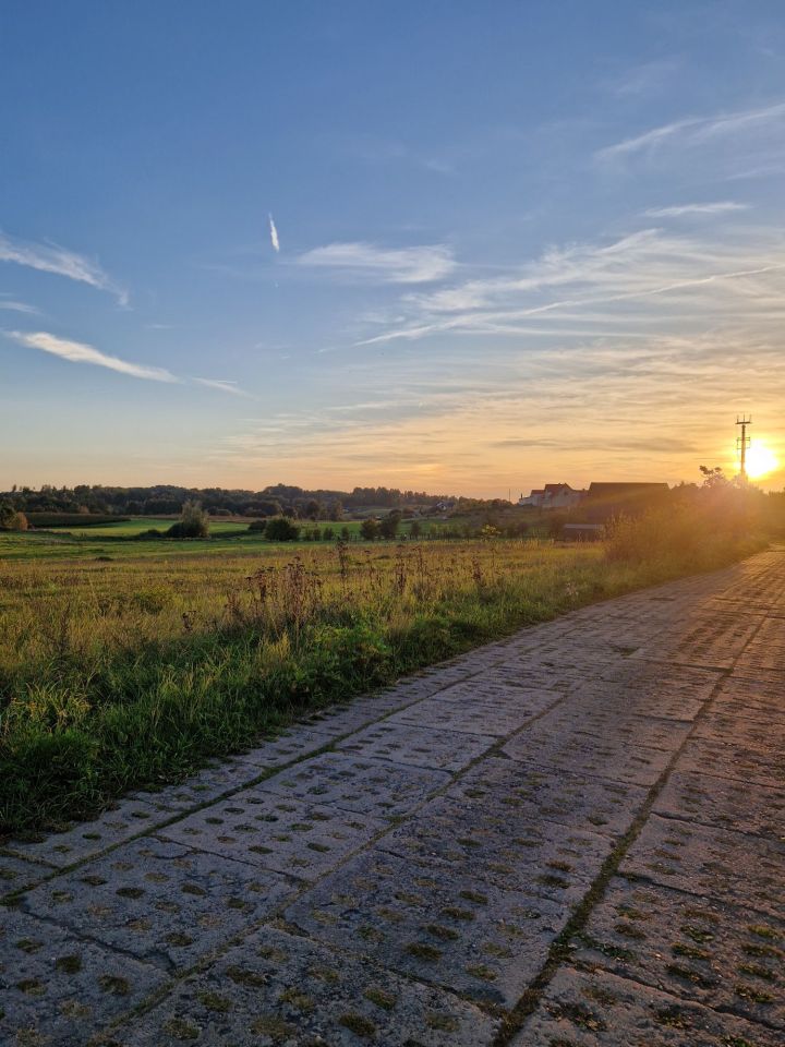 Działka budowlana Sikory. Zdjęcie 5