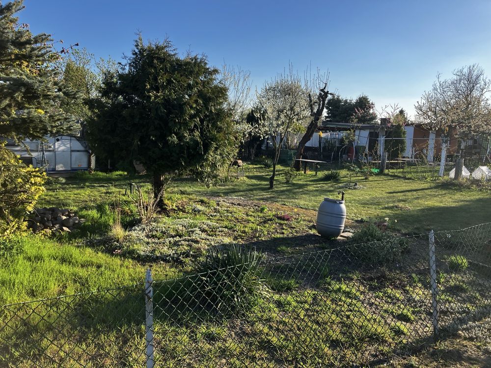 Działka rod Leszno Leszczynko, ul. Dożynkowa. Zdjęcie 7