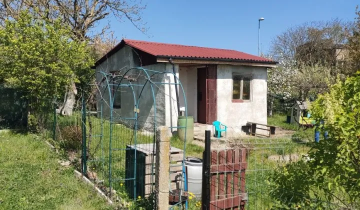 Działka rod Gorzów Wielkopolski, ul. Siewna