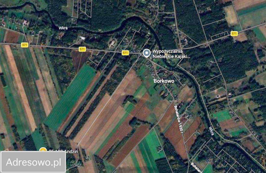Działka rolna Borkowo. Zdjęcie 2
