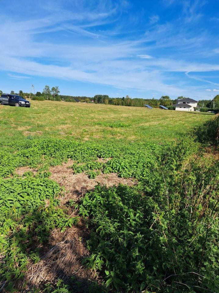 Działka budowlana Wielbark, ul. Akacjowa. Zdjęcie 6