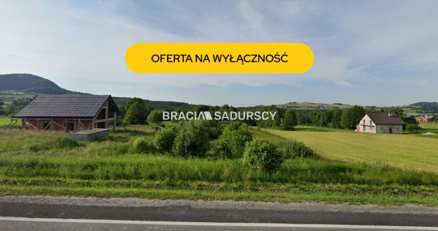 Działka inwestycyjna Ptaszkowa. Zdjęcie 1