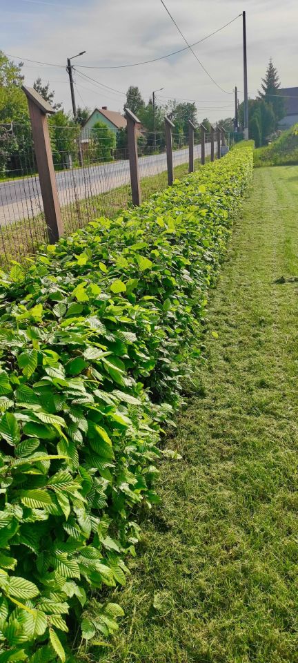 Działka budowlana Golanka Górna. Zdjęcie 7