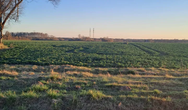 Działka rolna Płock Radziwie, ul. Dobrzykowska