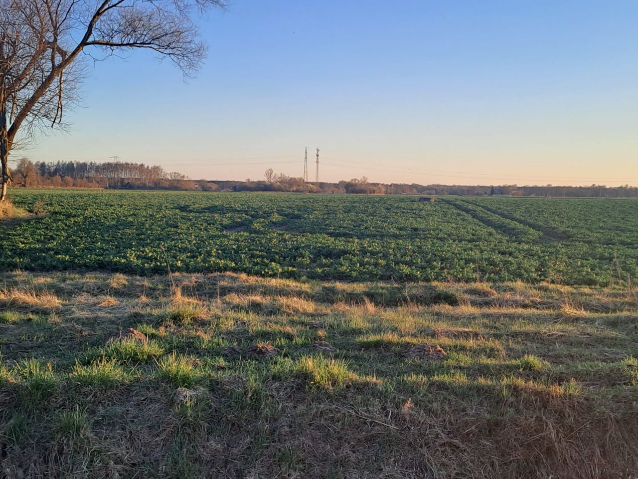 Działka rolna Płock Radziwie, ul. Dobrzykowska