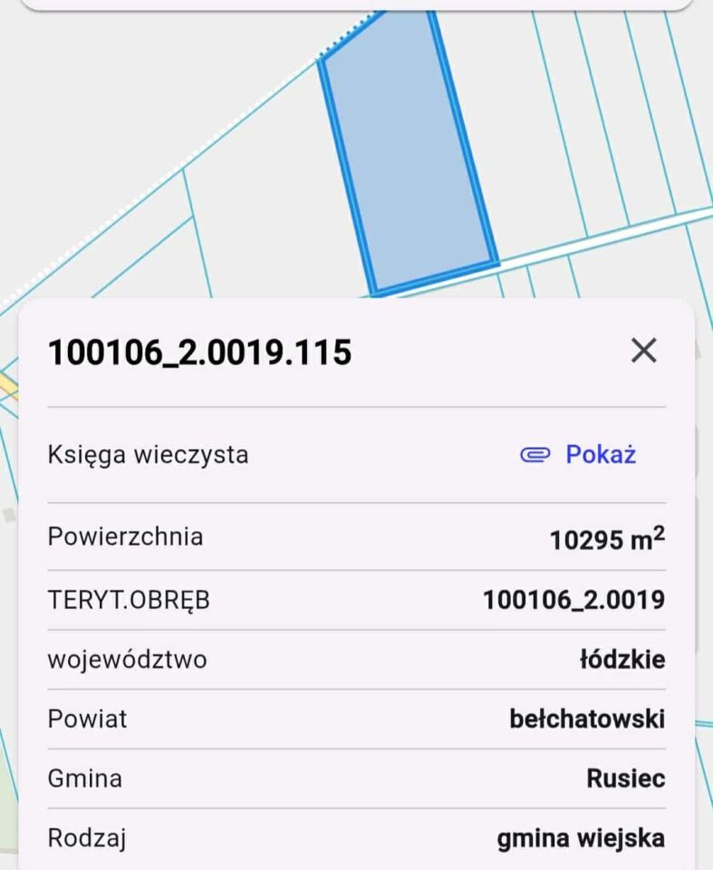 Działka rolna Fajnów. Zdjęcie 3