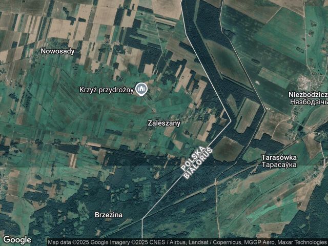 Działka Zaleszany. Zdjęcie 1