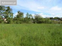 Działka budowlana Janowice. Zdjęcie 1