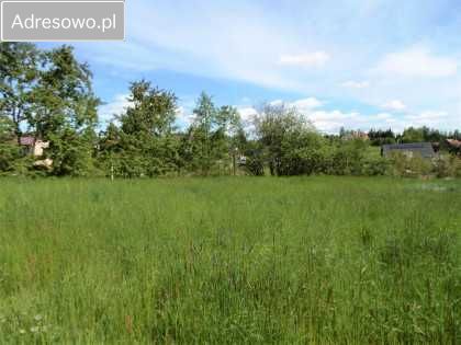 Działka budowlana Janowice. Zdjęcie 2