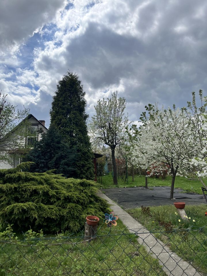 Działka rod Stalowa Wola Pławo, ul. Działkowa. Zdjęcie 2