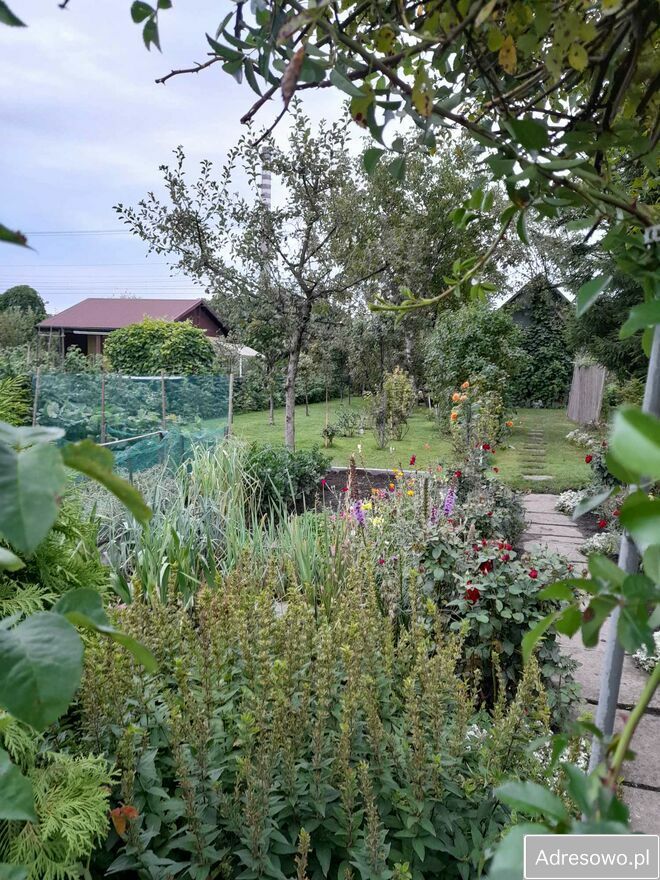 Działka rod Tarnów. Zdjęcie 6