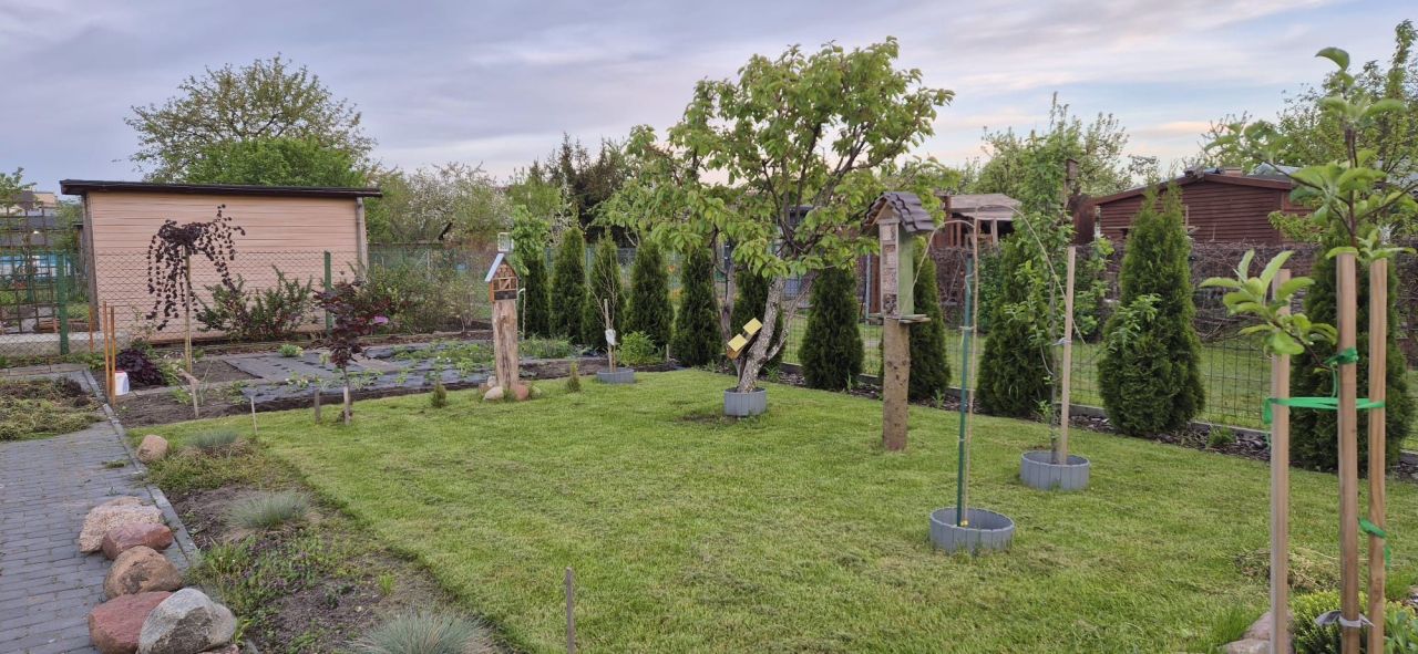 Działka rod Szczytno. Zdjęcie 6