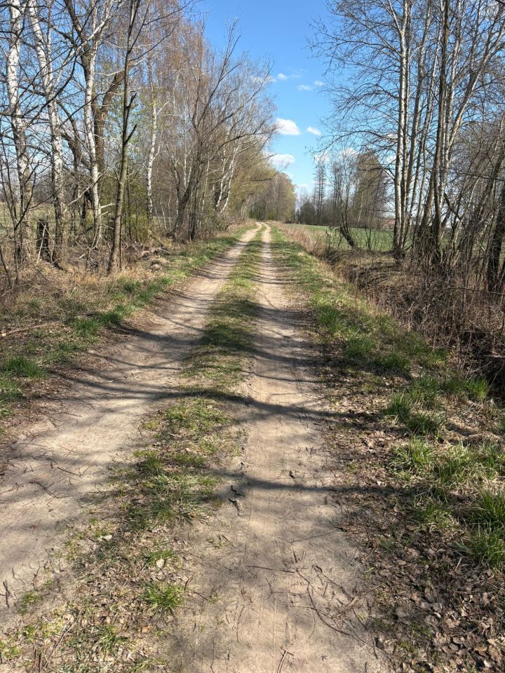 Działka rolna Komory, bez nazwy. Zdjęcie 7