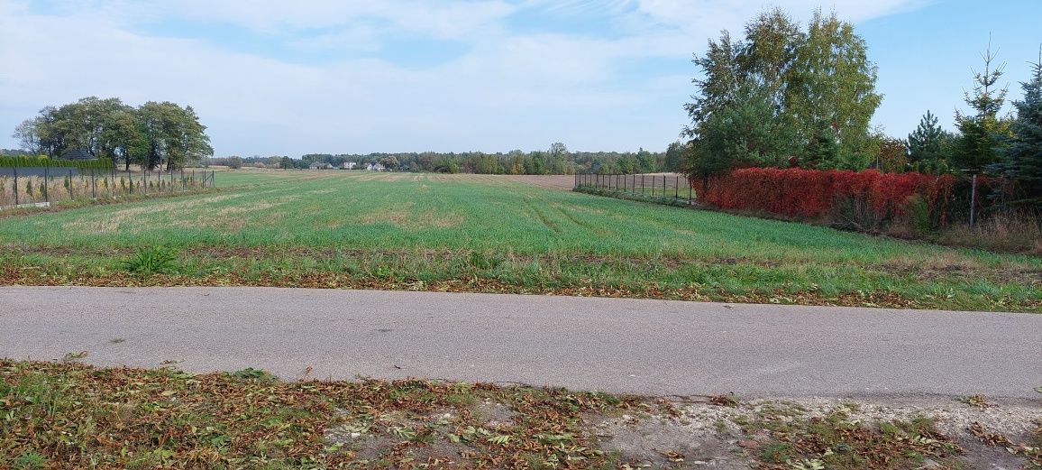 Działka budowlana Aleksandria. Zdjęcie 2