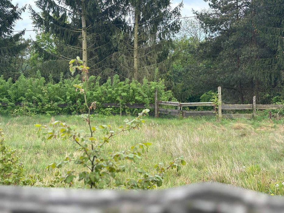 Działka rekreacyjna Trupel. Zdjęcie 7