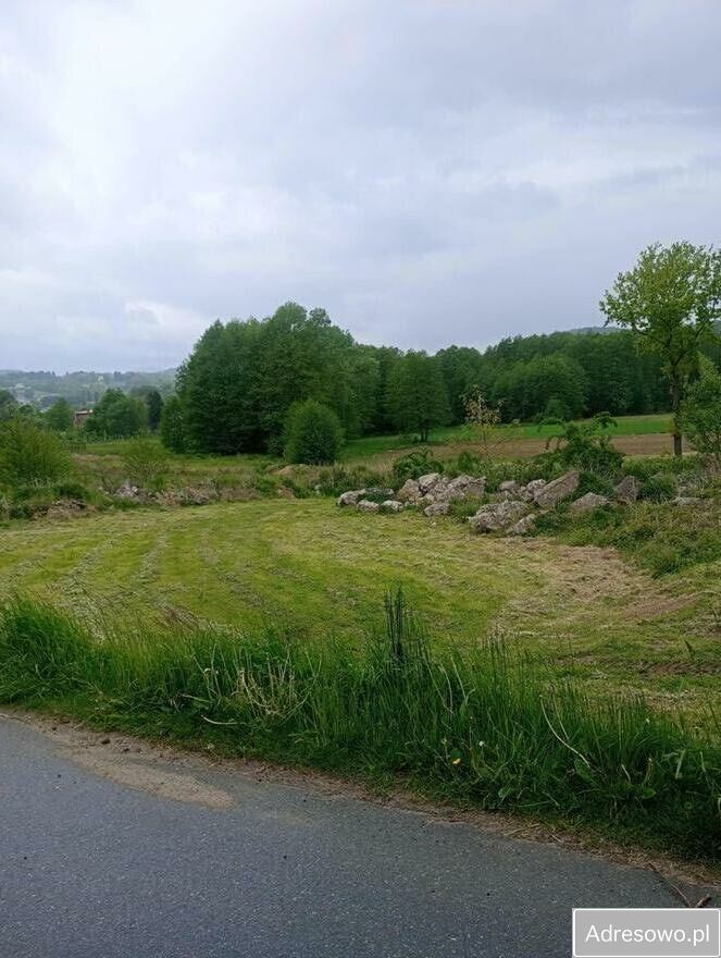 Działka budowlana Rożnów Radajowice. Zdjęcie 4