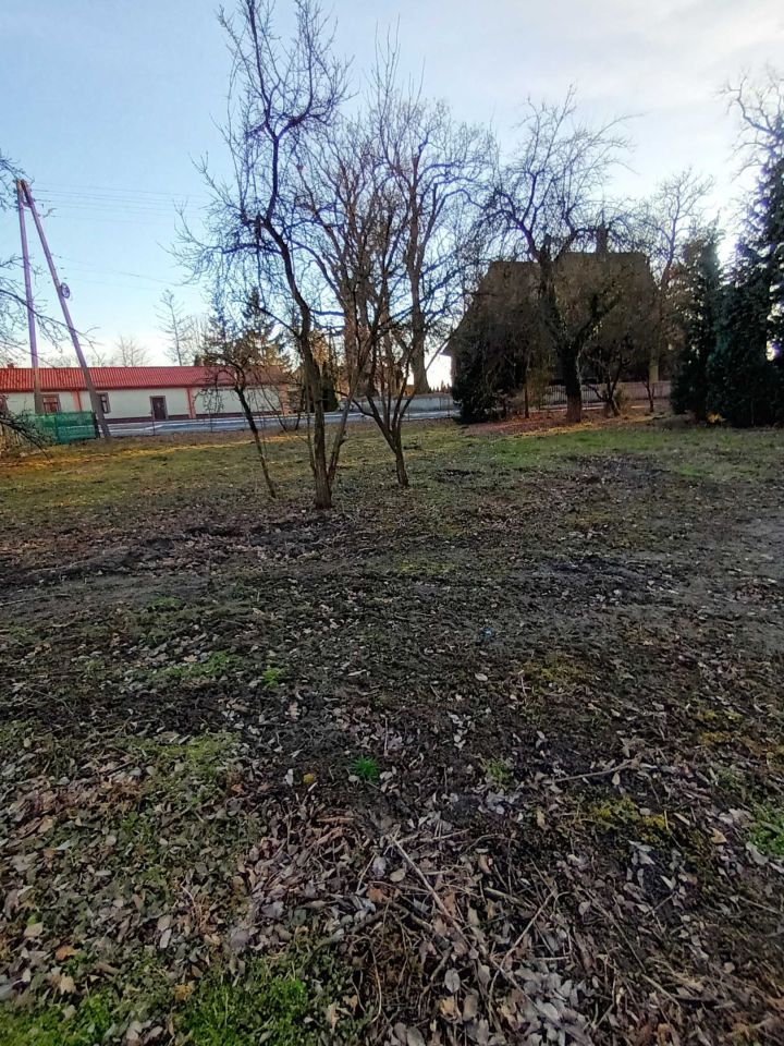 Działka budowlana Kaszewice. Zdjęcie 4