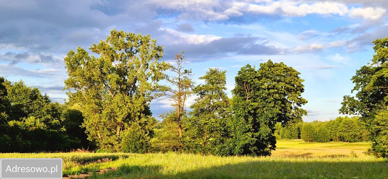 Działka rolno-budowlana Osmolice Pierwsze. Zdjęcie 5
