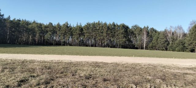 Działka budowlana Borek. Zdjęcie 3