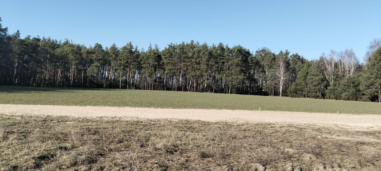Działka budowlana Borek. Zdjęcie 3