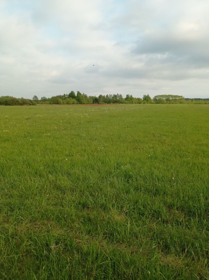 Działka rolna Sarzyna Poręba. Zdjęcie 4