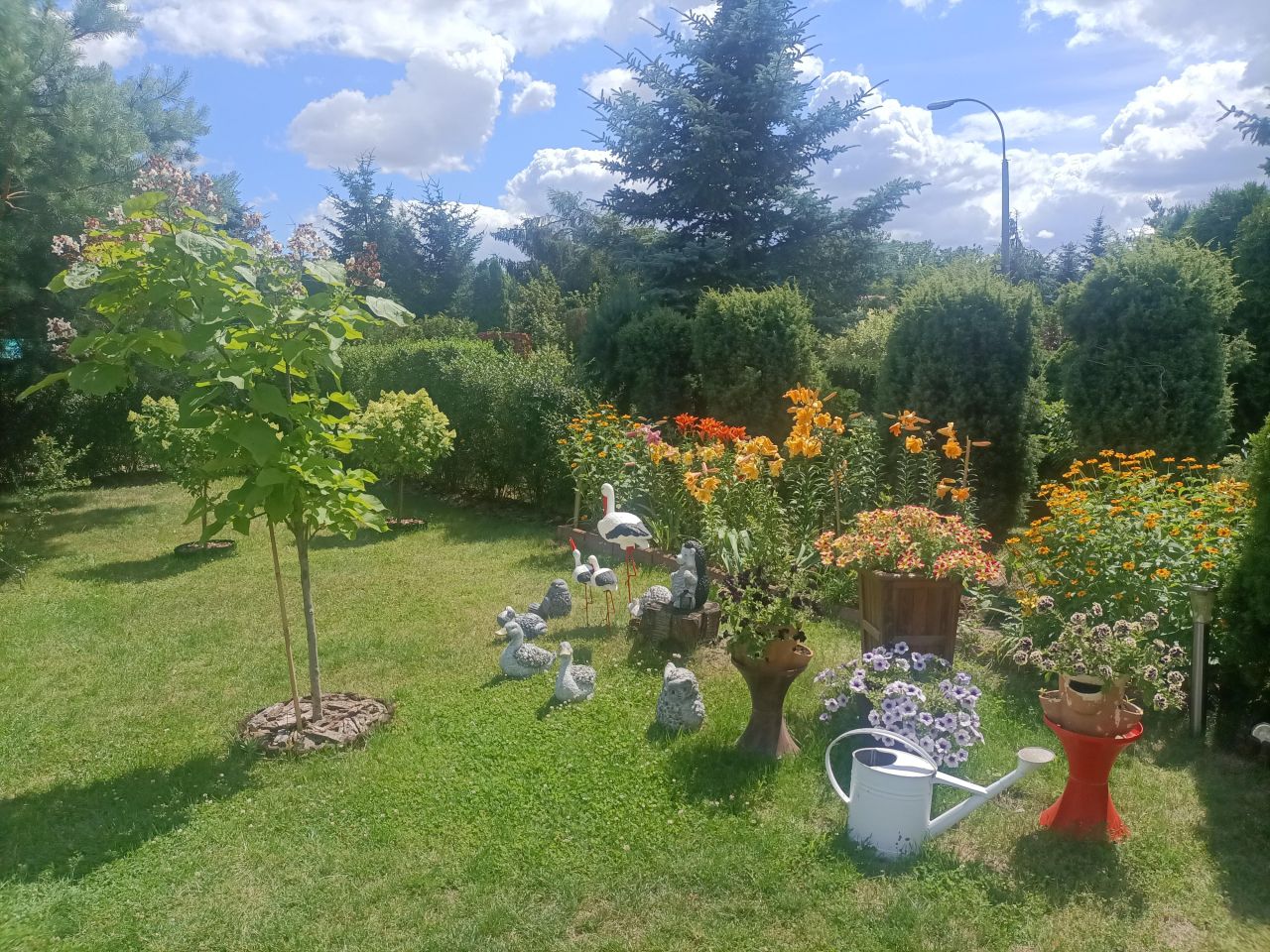 Działka rod Łódź Górna, ul. Lodowa. Zdjęcie 13