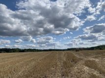 Działka budowlana Wińsko, ul. Wincentego Witosa. Zdjęcie 1