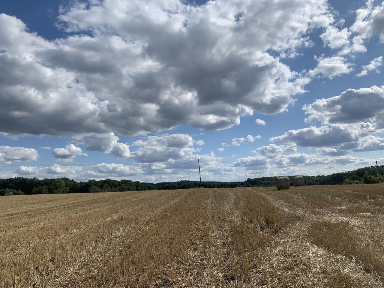Działka budowlana Wińsko, ul. Wincentego Witosa. Zdjęcie 2