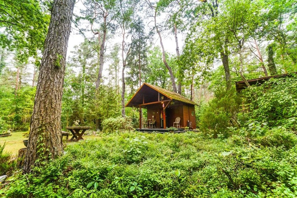 dom wolnostojący, 6 pokoi Poddębie, ul. Sosnowa. Zdjęcie 2