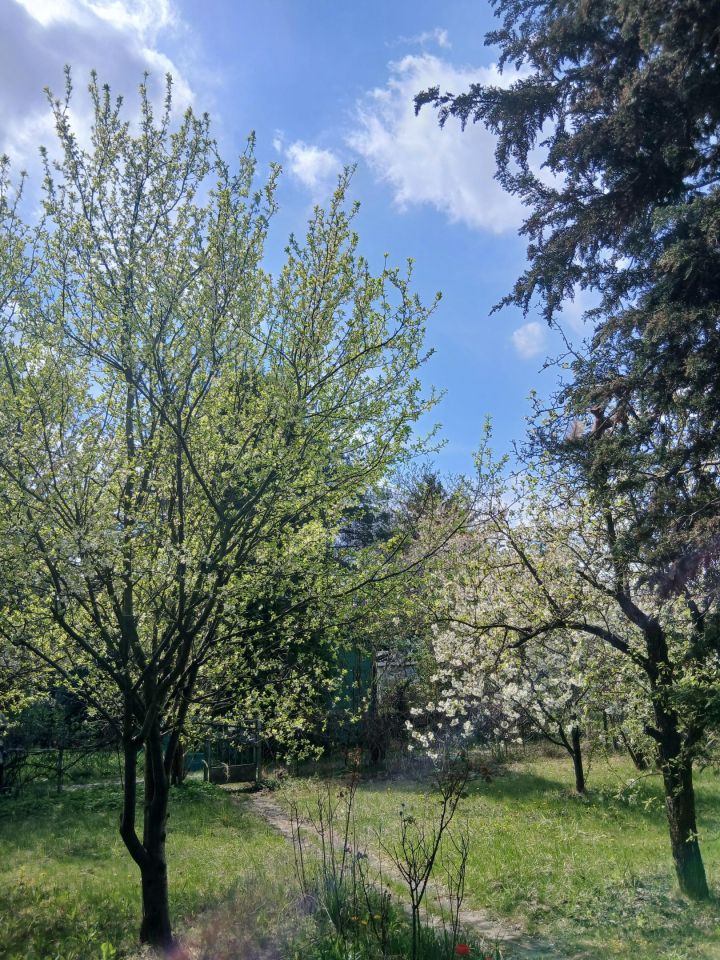 Działka rod Warszawa Włochy, ul. Żwirki i Wigury. Zdjęcie 5