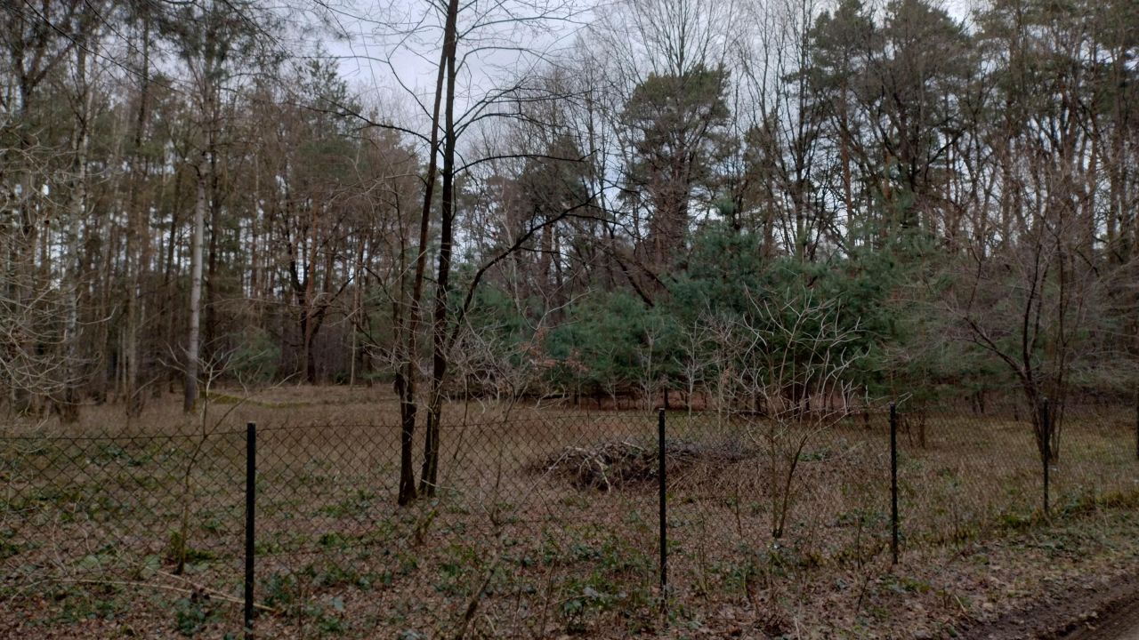 Działka budowlana Zofiówka, ul. Cmentarna. Zdjęcie 8