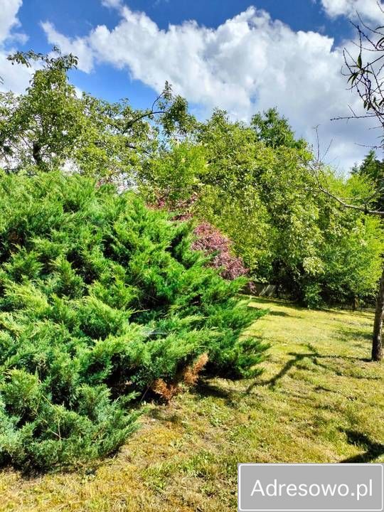 Działka rod Kraków Śródmieście, ul. Nowohucka. Zdjęcie 3