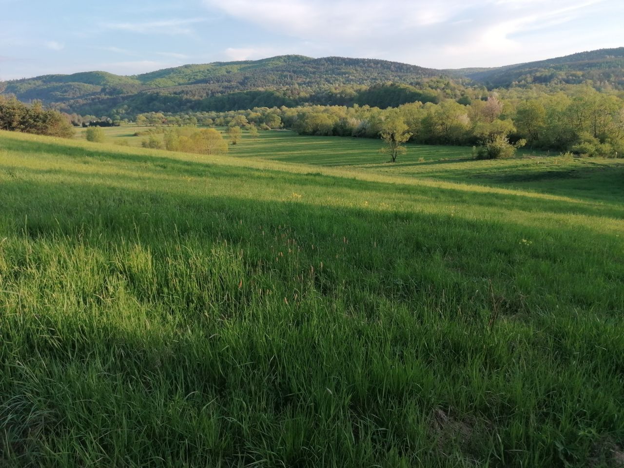 Działka rekreacyjna Rybotycze. Zdjęcie 28