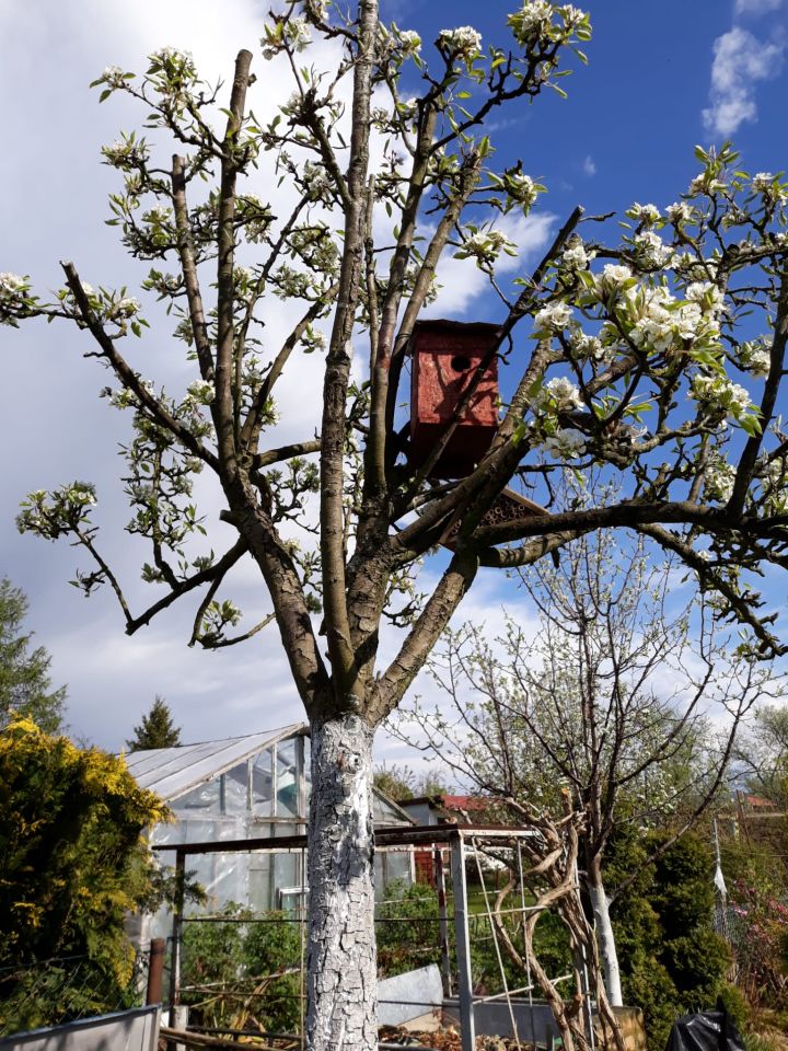 Działka rod Niekanin, Janiska. Zdjęcie 8