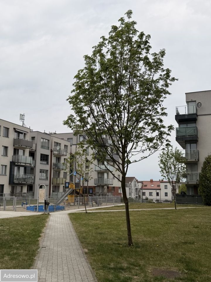 Mieszkanie 2-pokojowe Starogard Gdański Centrum, ul. Fryderyka Chopina. Zdjęcie 10