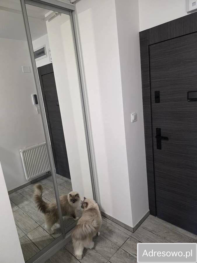 Mieszkanie 3-pokojowe Reda, ul. Długa. Zdjęcie 11