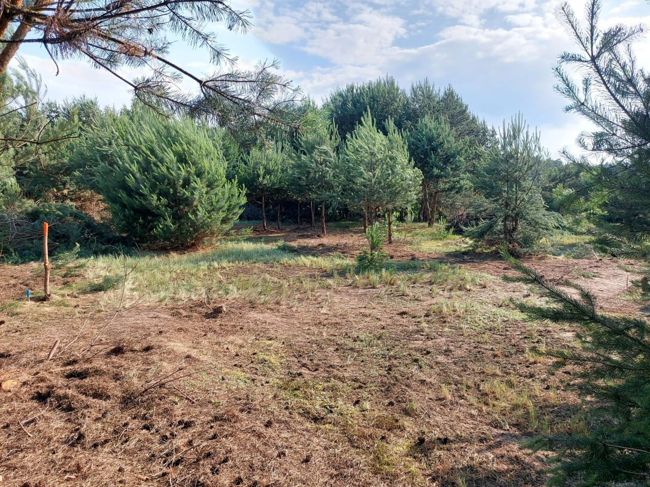 Działka budowlana Glinno kolonia. Zdjęcie 6