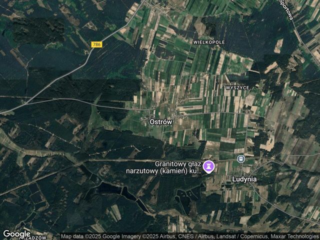 Działka leśna Ostrów Belina. Zdjęcie 1