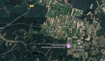 Działka leśna Ostrów Belina