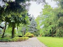 dom wolnostojący, 7 pokoi Turek, ul. Zdrojki Prawe. Zdjęcie 4